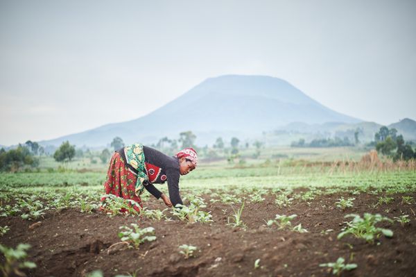 Climate-Smart Agriculture & Food Security BMCM Uganda